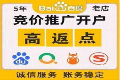 成功运用SEM服务实现品牌推广的案例分析